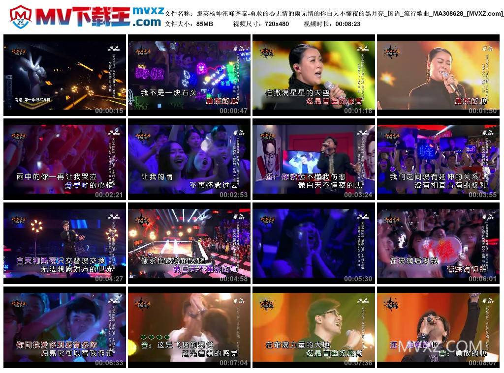 那英杨坤汪峰齐秦-勇敢的心无情的雨无情的你白天不懂夜的黑月亮_国语_流行歌曲_MA308628